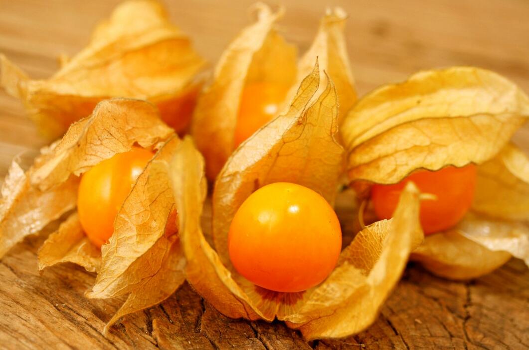 農(nóng)業(yè)自動(dòng)氣象站助力菇娘規(guī)模化種植 農(nóng)業(yè)自動(dòng)氣象站助力菇娘規(guī)模化種植